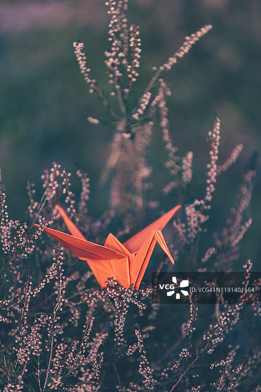 干燥灌木枝上的折纸鹤图片素材