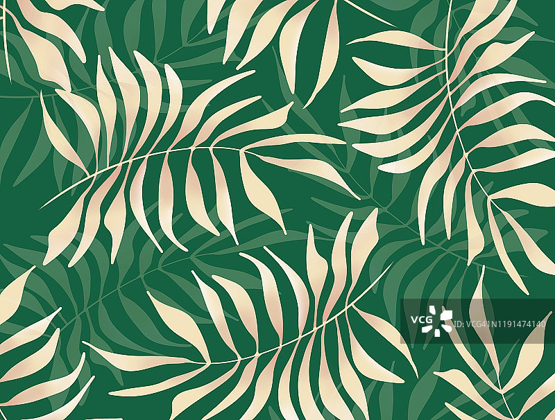 热带树枝背景插画图片素材