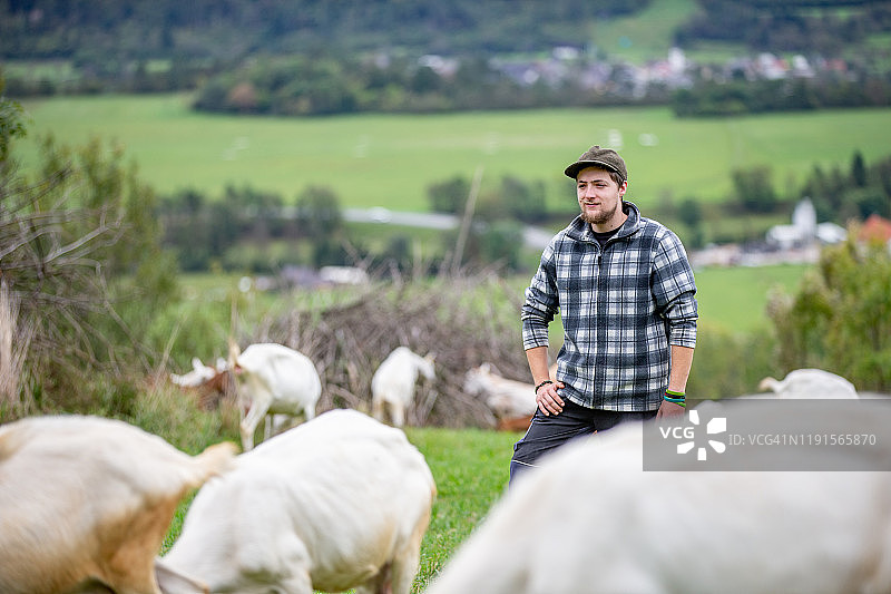 年轻农民照看他的山羊群图片素材