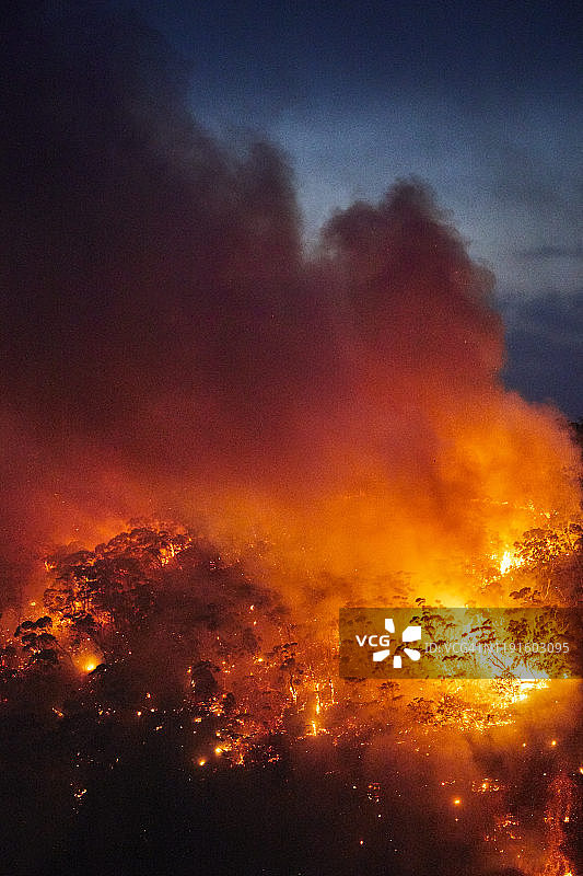 澳大利亚蓝山，黄昏夜晚山间森林火灾，火焰和烟雾图片素材