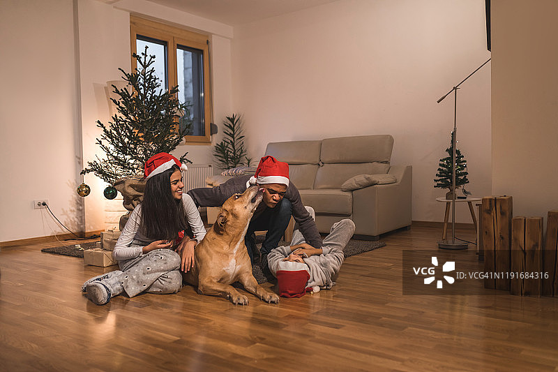 圣诞节期间，父亲和孩子们带着狗在家玩耍。图片素材
