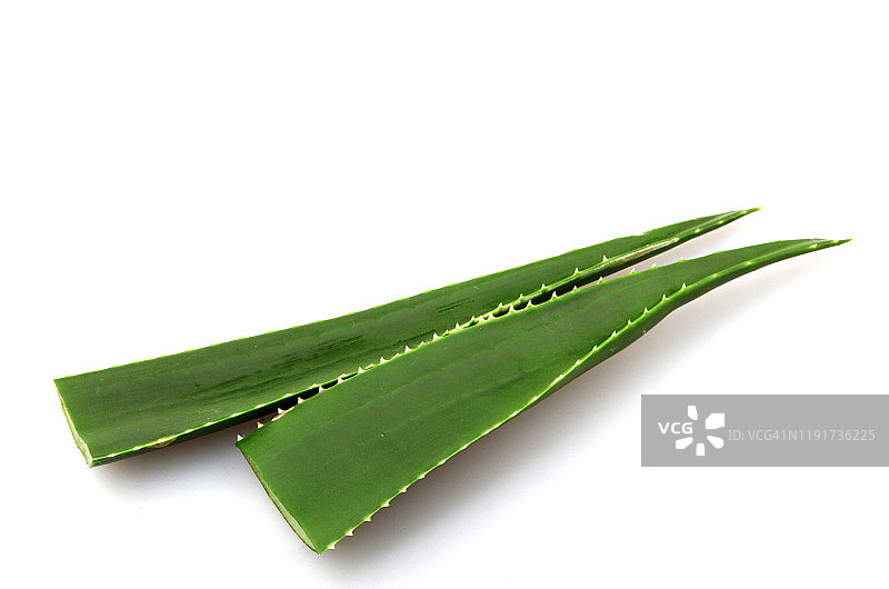 白色背景上的芦荟图片素材