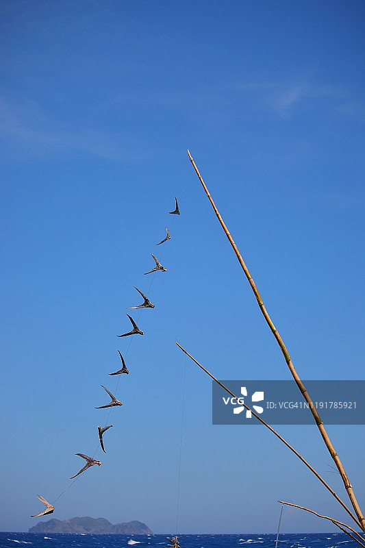 腌制飞鱼图片素材