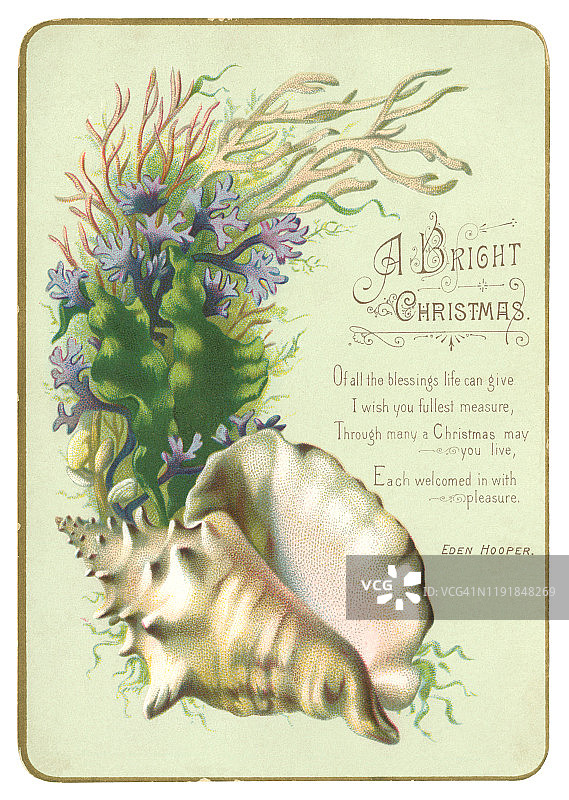 维多利亚圣诞贺卡，海贝和海藻，1884年图片素材
