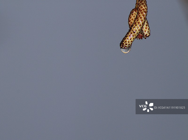 简约自然风光图片素材