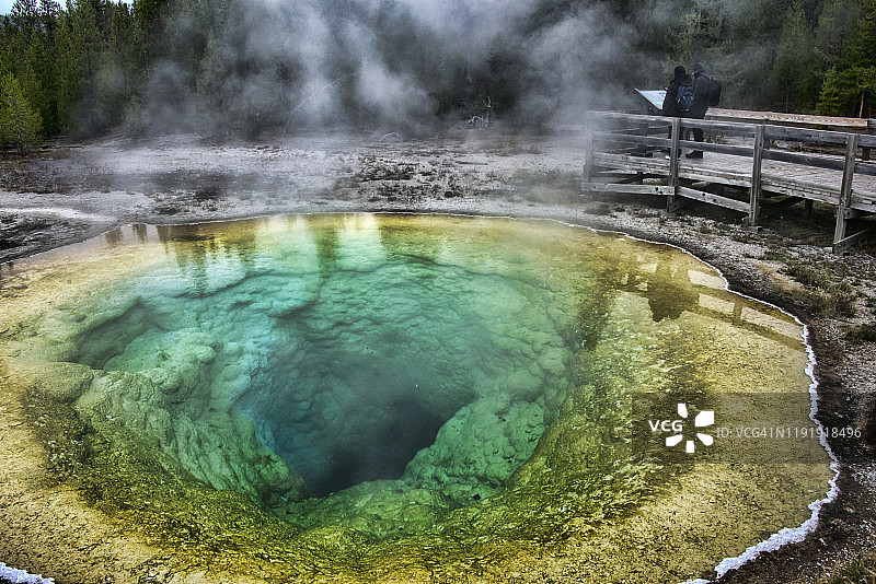 嗜热细菌垫图片素材