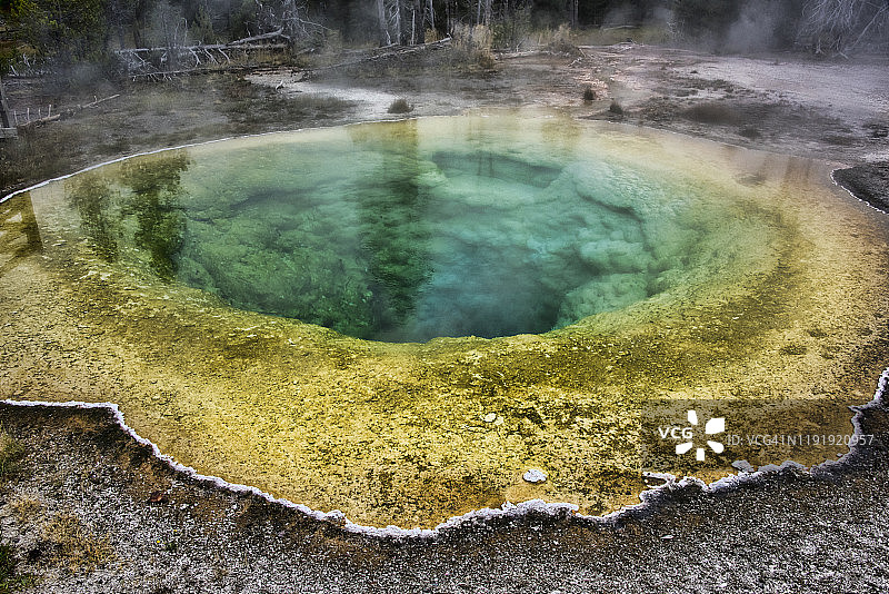 嗜热细菌垫图片素材