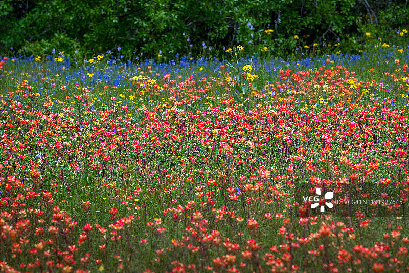 红色、黄色、蓝色和绿色图片素材