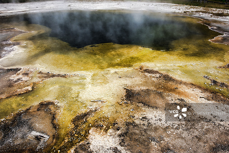 嗜热细菌垫图片素材