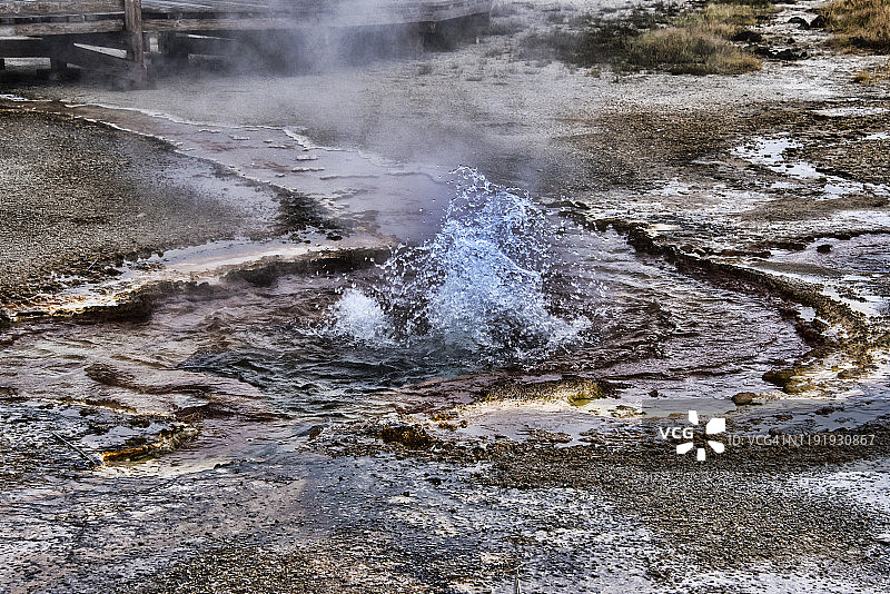 嗜热细菌垫图片素材