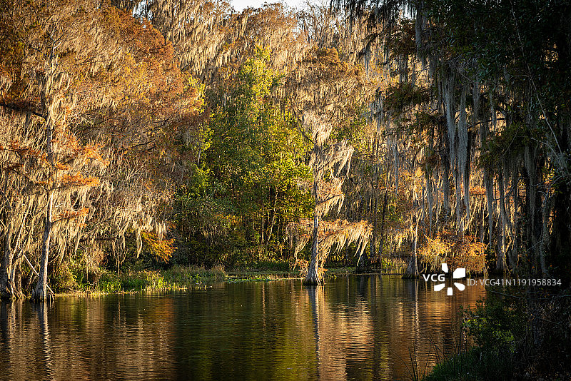 佛罗里达州的秋色图片素材