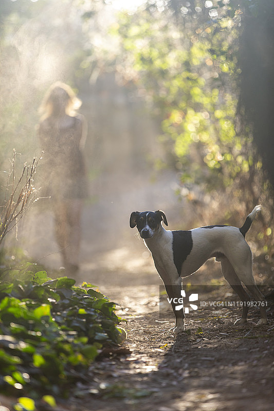 年轻女人和小狗在徒步小径上行走图片素材