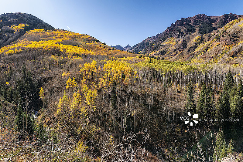 栗色钟-斯诺马斯荒野的秋季景色图片素材