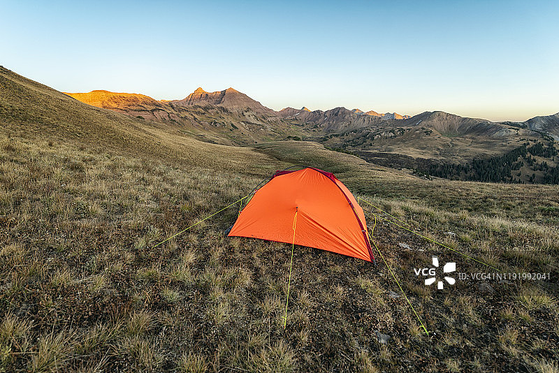 在栗色钟-斯诺马斯荒野露营图片素材