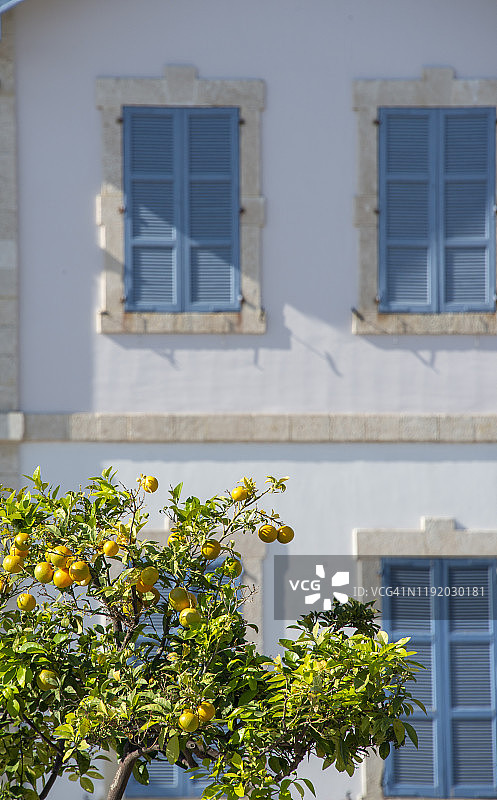 拉纳卡旧屋墙前的柠檬树（配有百叶窗，塞浦路斯）图片素材