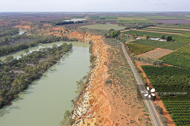 墨累河畔的橙子园，伦马克，南澳大利亚，澳大利亚图片素材
