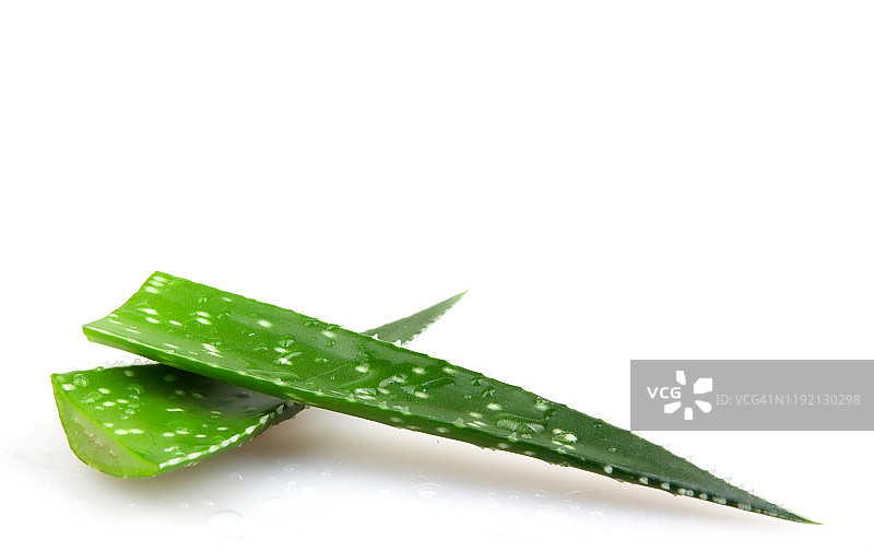 白色背景下的库拉索芦荟图片素材