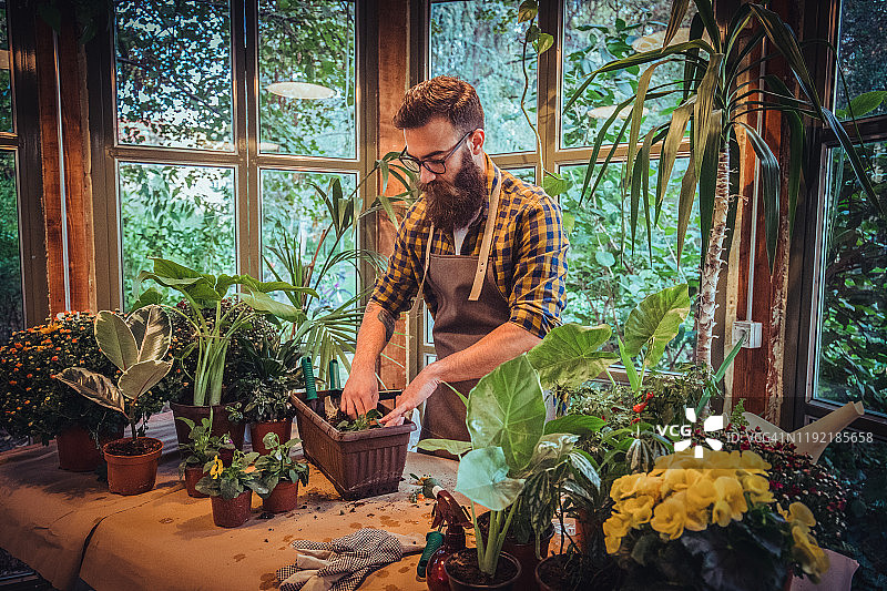 温室园艺图片素材