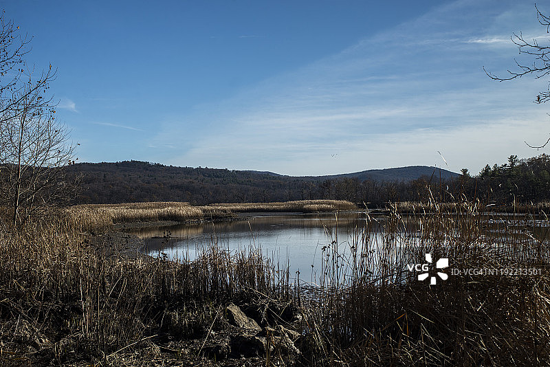步行道景观——宪法沼泽附近的寒冷春天图片素材
