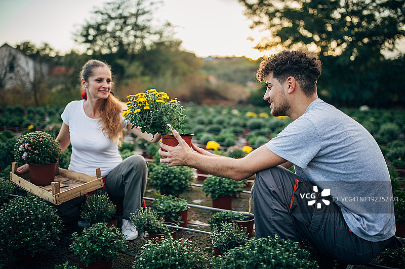 两个人在花卉农场工作图片素材