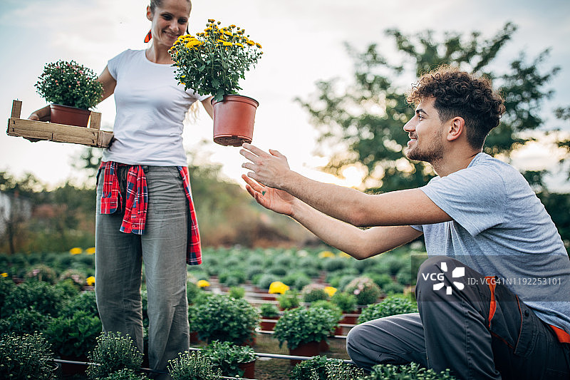 女人和男人在花卉农场工作图片素材