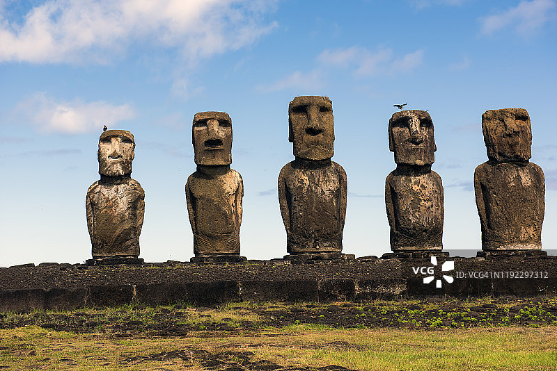 智利复活节岛阿胡·汤加里基的摩艾石像群图片素材