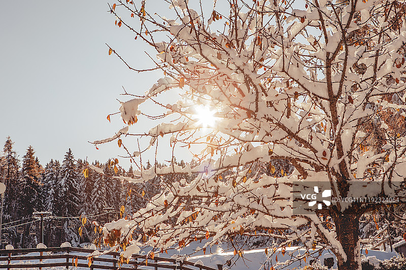 冬季意大利北部横向风景图片素材