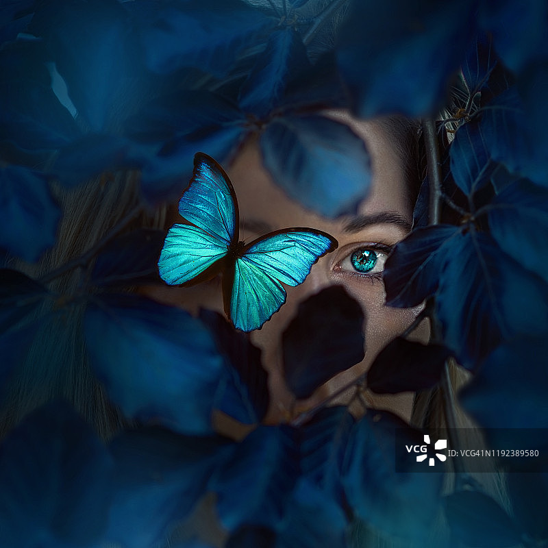 在蓝色树叶中有着蓝色眼睛和蝴蝶的女子肖像图片素材
