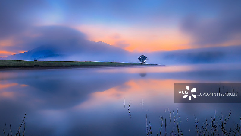 日出时分，湖面倒影着孤独的树，笼罩在神奇的薄雾和光线中。独特的抽象布局之美景图片素材