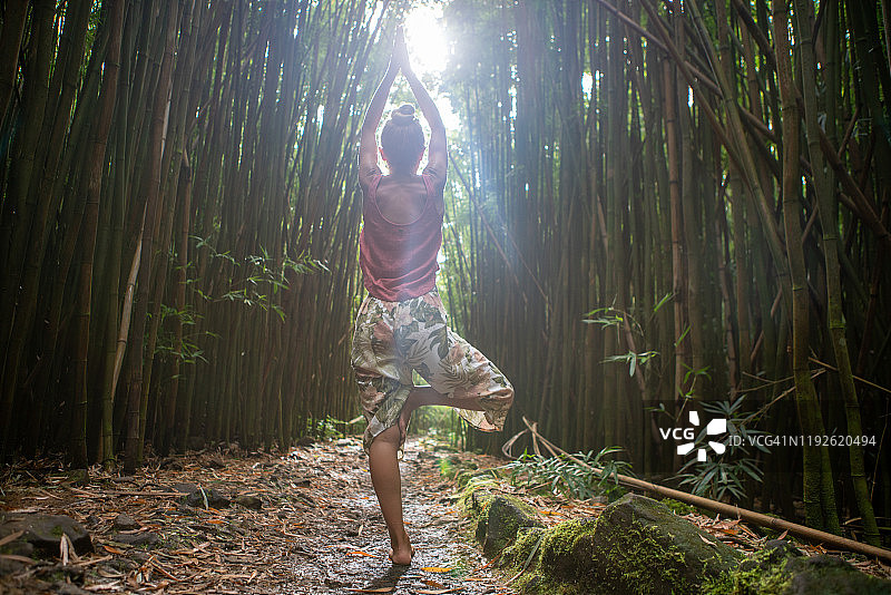 年轻女子在竹林中练习瑜伽图片素材