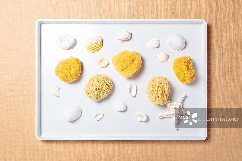 白色托盘中的天然海绵图片素材