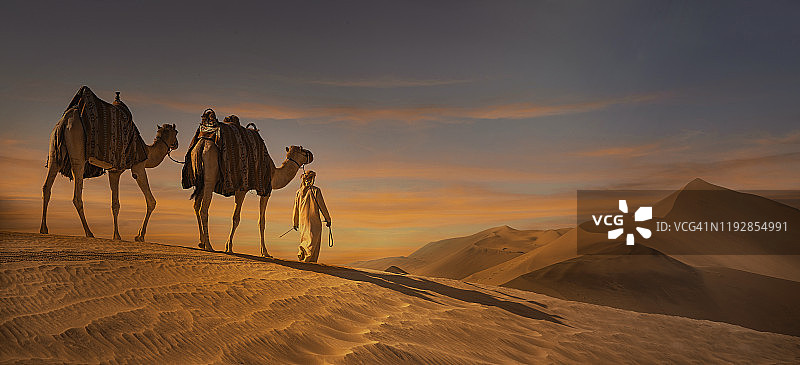 沙丘上的骆驼商队图片素材