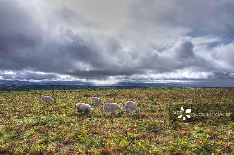 英格兰赫里福德郡赫格斯特山脊的奥法堤步道。图片素材