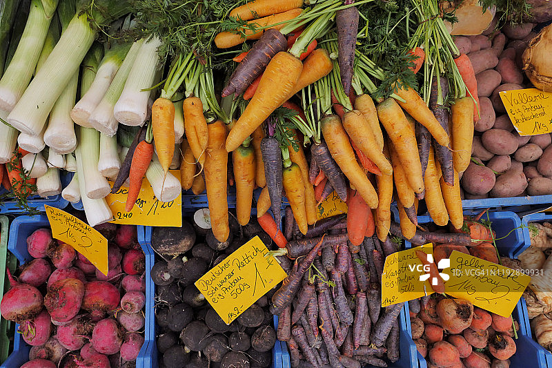 胡萝卜图片素材