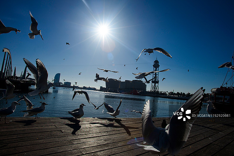 巴塞罗那商业港口“Moll de la Fusta”图片素材