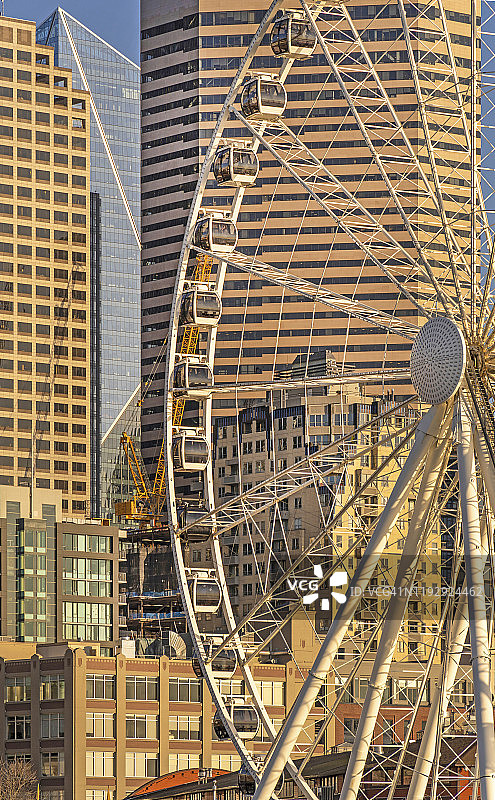 西雅图海滨摩天轮图片素材