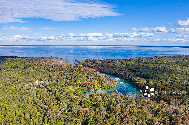 奥卡拉国家森林公园 - 银泉图片素材