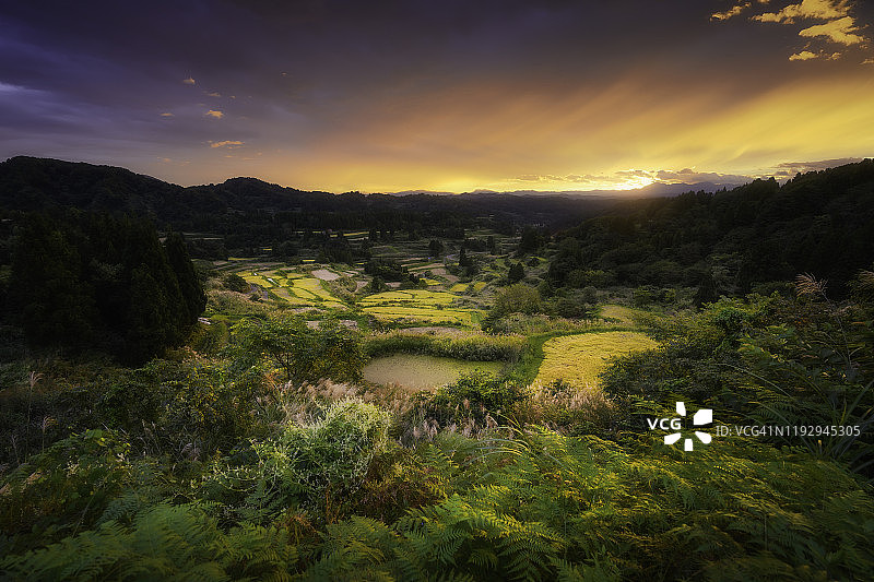 星峠梯田图片素材