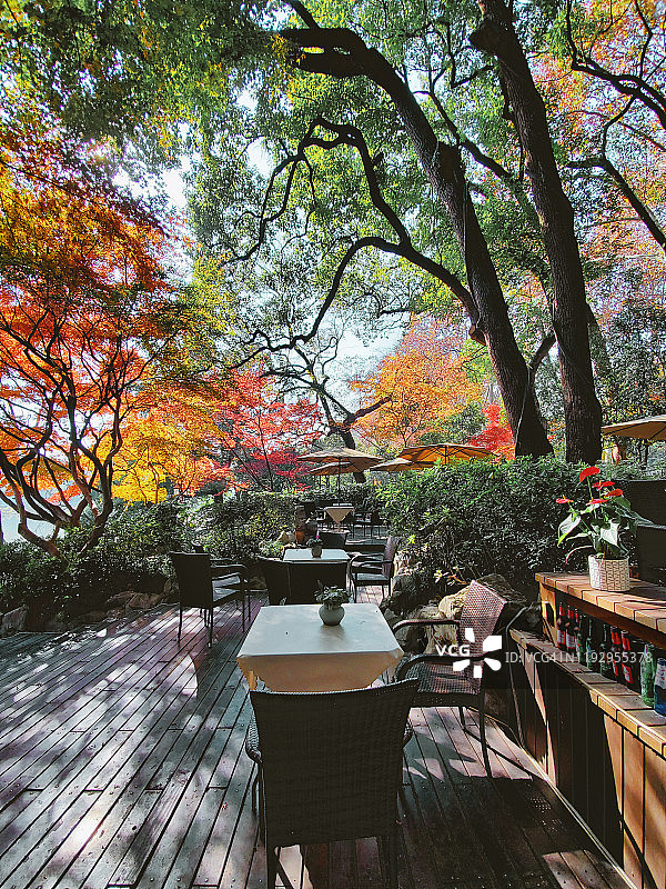中国杭州被红枫树环绕的露天游客休憩场所图片素材