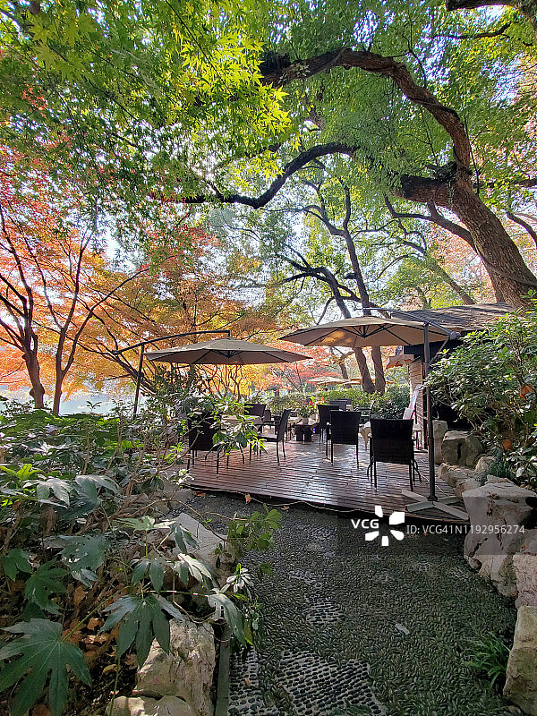 中国杭州被红枫树环绕的露天游客休憩场所图片素材