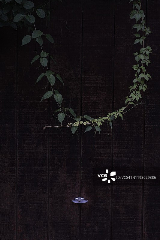 他来了图片素材