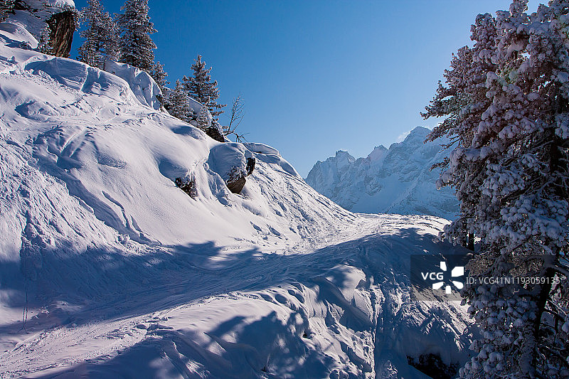 齐勒河谷竞技场滑雪胜地森林，奥地利蒂罗尔州迈尔霍芬，冬季阿尔卑斯山图片素材