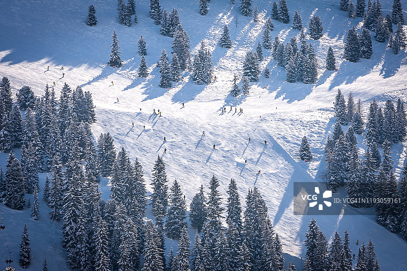 齐勒河谷竞技场滑雪胜地的滑雪者森林，奥地利蒂罗尔州迈尔霍芬的冬季阿尔卑斯山图片素材