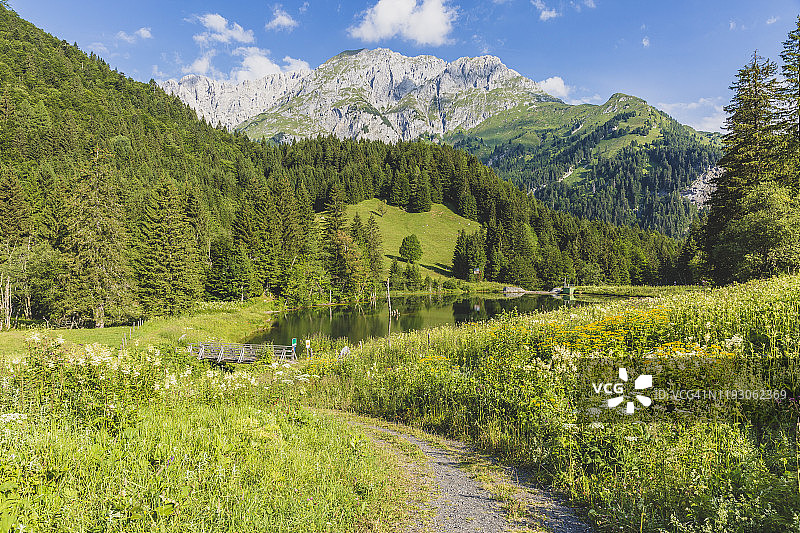 奥地利克恩顿州，夏季卡尼克阿尔卑斯山森林山谷的湖泊美景图片素材