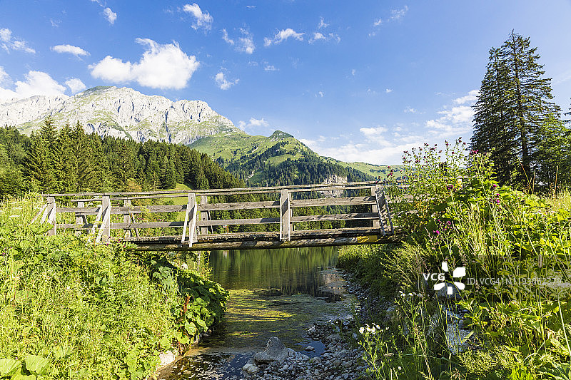 奥地利克恩顿州卡尼克阿尔卑斯山夏季湖上的木桥图片素材