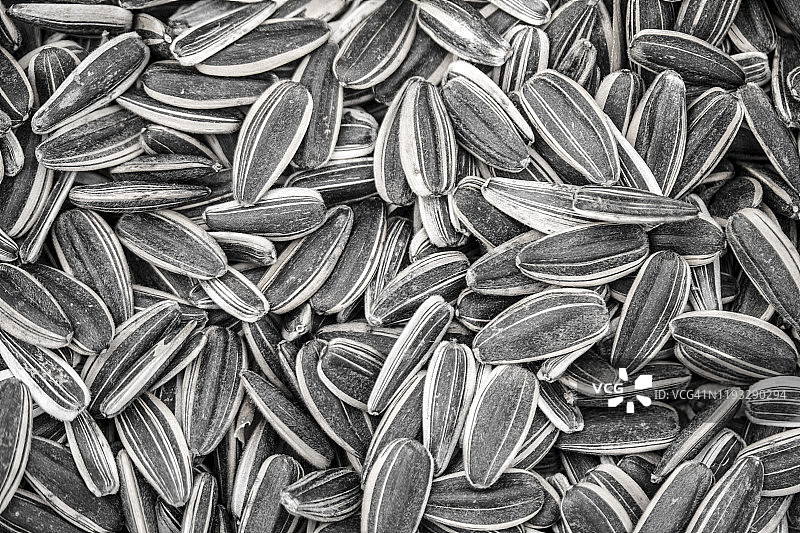 向日葵的种子图片素材