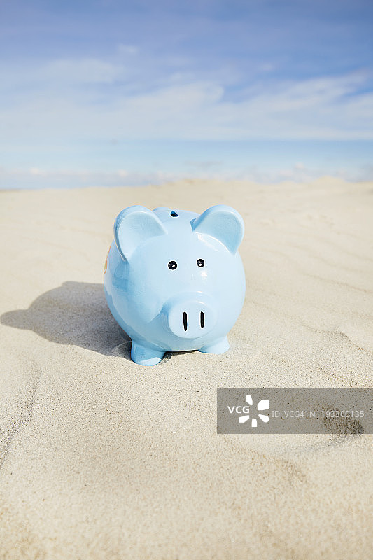 海滩蓝猪储蓄罐静物图片素材