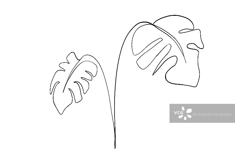 树叶单线画图片素材