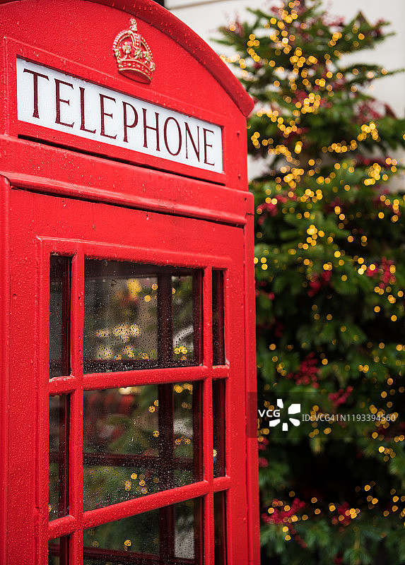 英国伦敦，红色电话亭与圣诞树图片素材