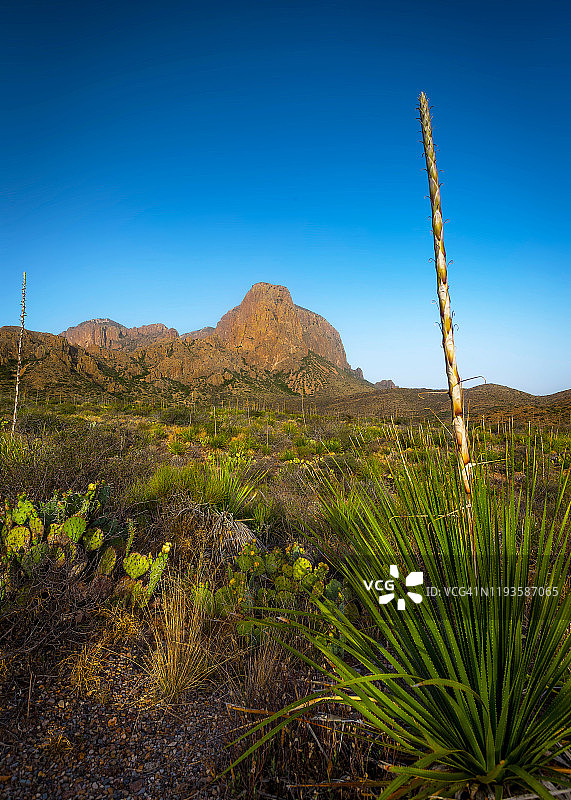 大弯国家公园的早晨图片素材